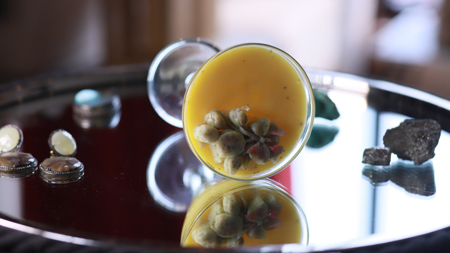 Margarita Candles